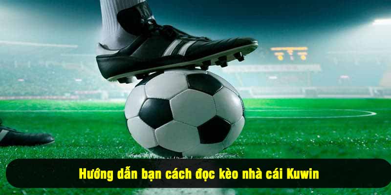 Hướng dẫn bạn cách đọc kèo nhà cái Kuwin