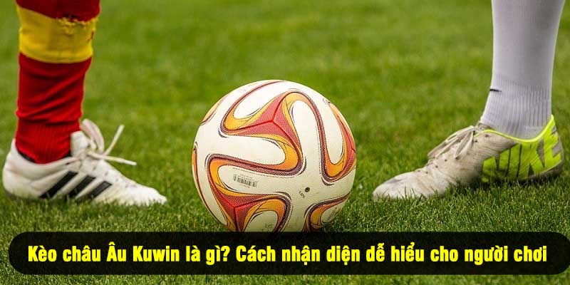 Kèo châu Âu Kuwin là gì? Cách nhận diện dễ hiểu cho người chơi